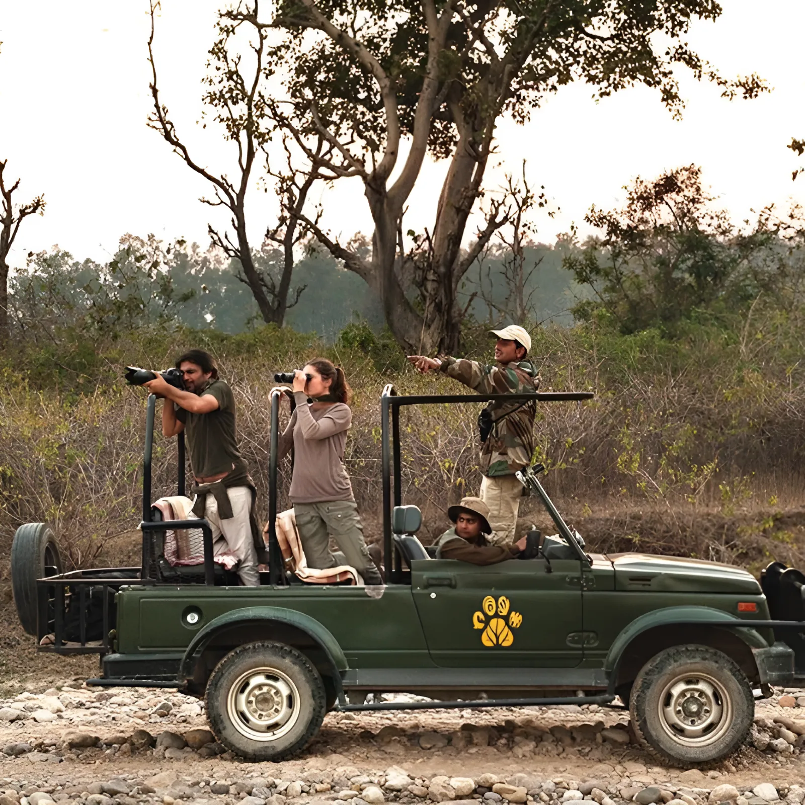 Open jeep safari in Jim Corbett forest