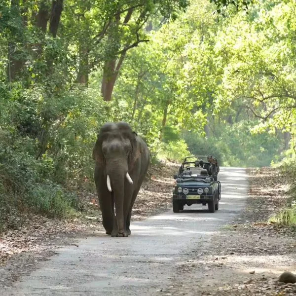 Sitabani Eco Tourism Zone