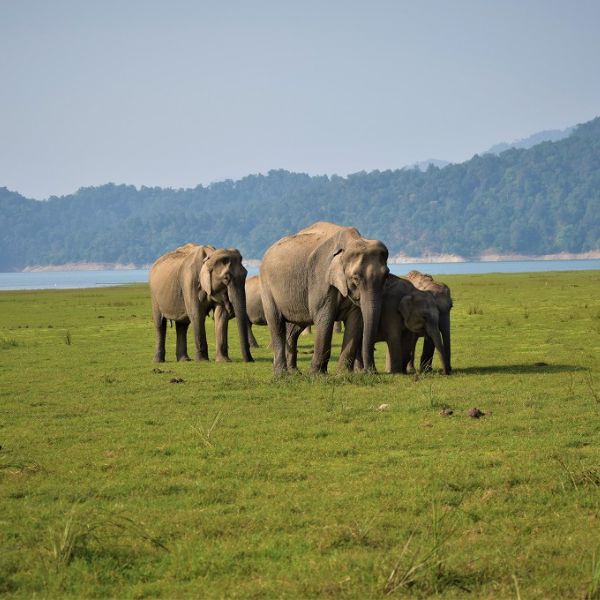 Corbett Landscape Area