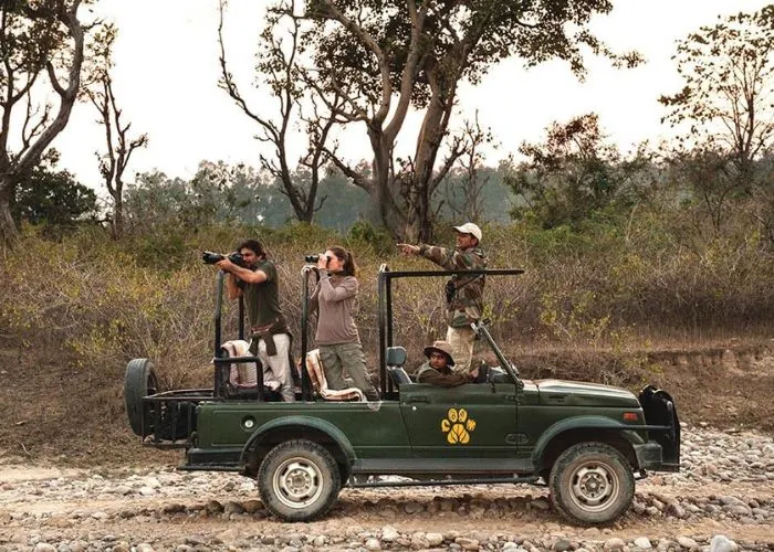 Open gypsy jeep safari through Jim Corbett jungle