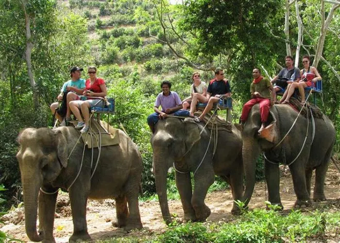 Elephant back safari at Jim Corbett