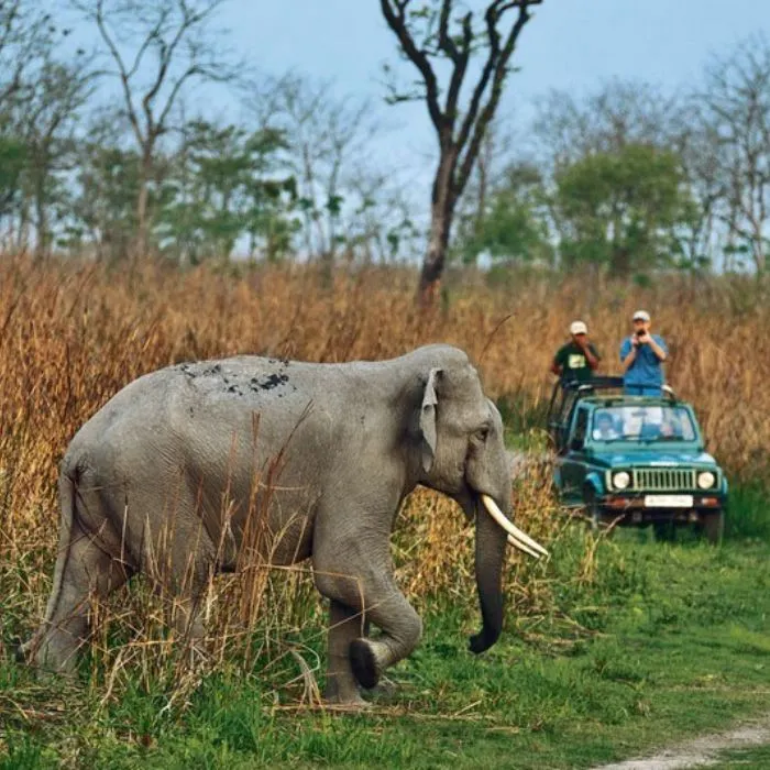 Corbett Weekend Tour Package