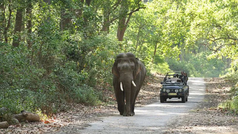 Corbett Weekend Tour Package