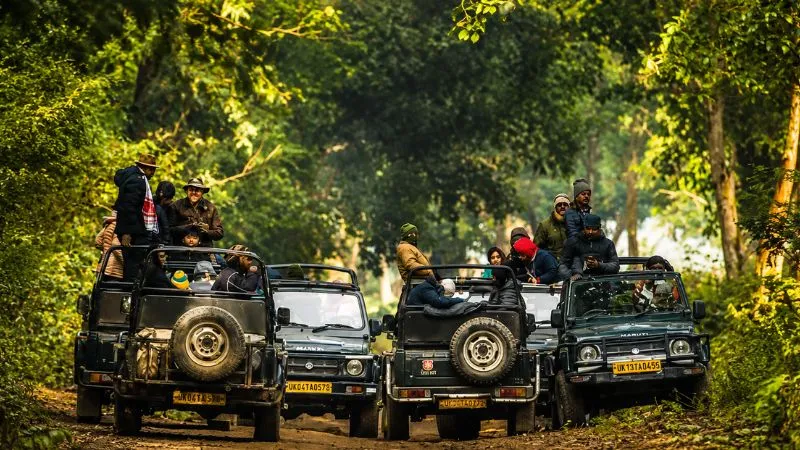 Corbett Weekend Tour Package